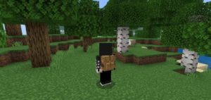 تحميل مود الحقيبة الجديد للجوال ماين كرافت اصدار 1.17 الاصلي